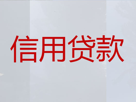 资阳信用贷款中介